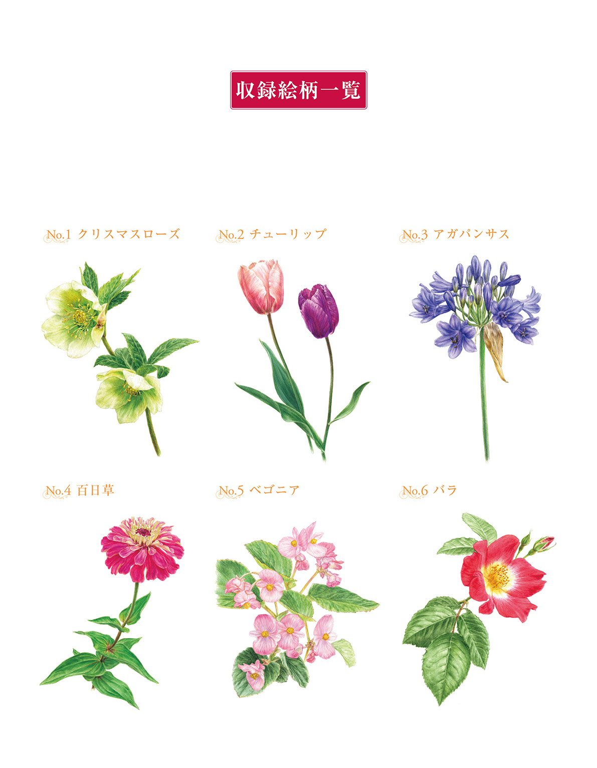 サムネイル画像1
