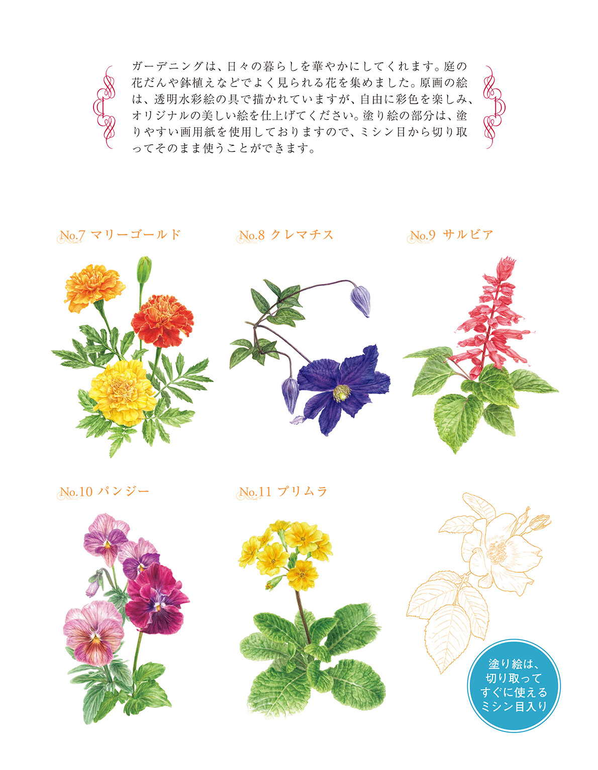 サムネイル画像2