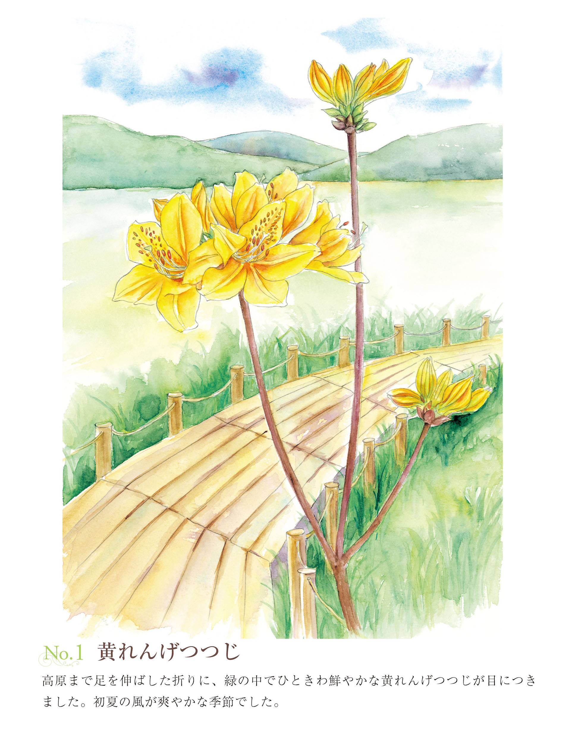 サムネイル画像2