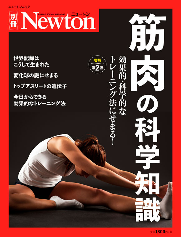 メイン画像