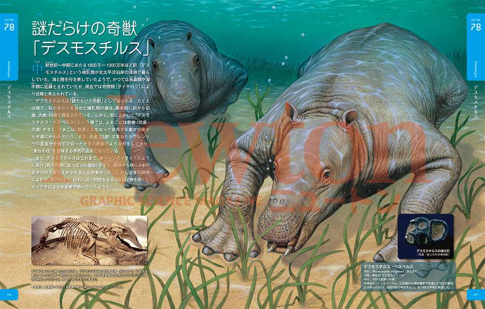 サムネイル画像2