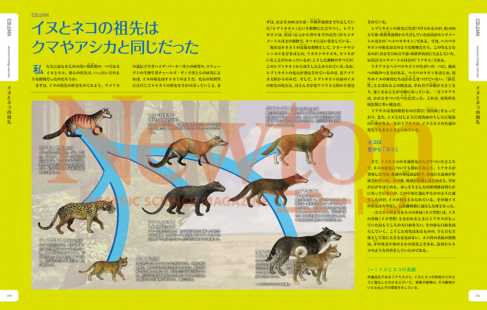 サムネイル画像3