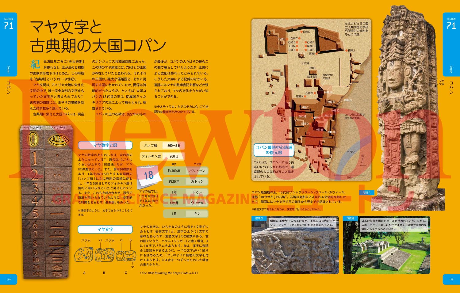 サムネイル画像2
