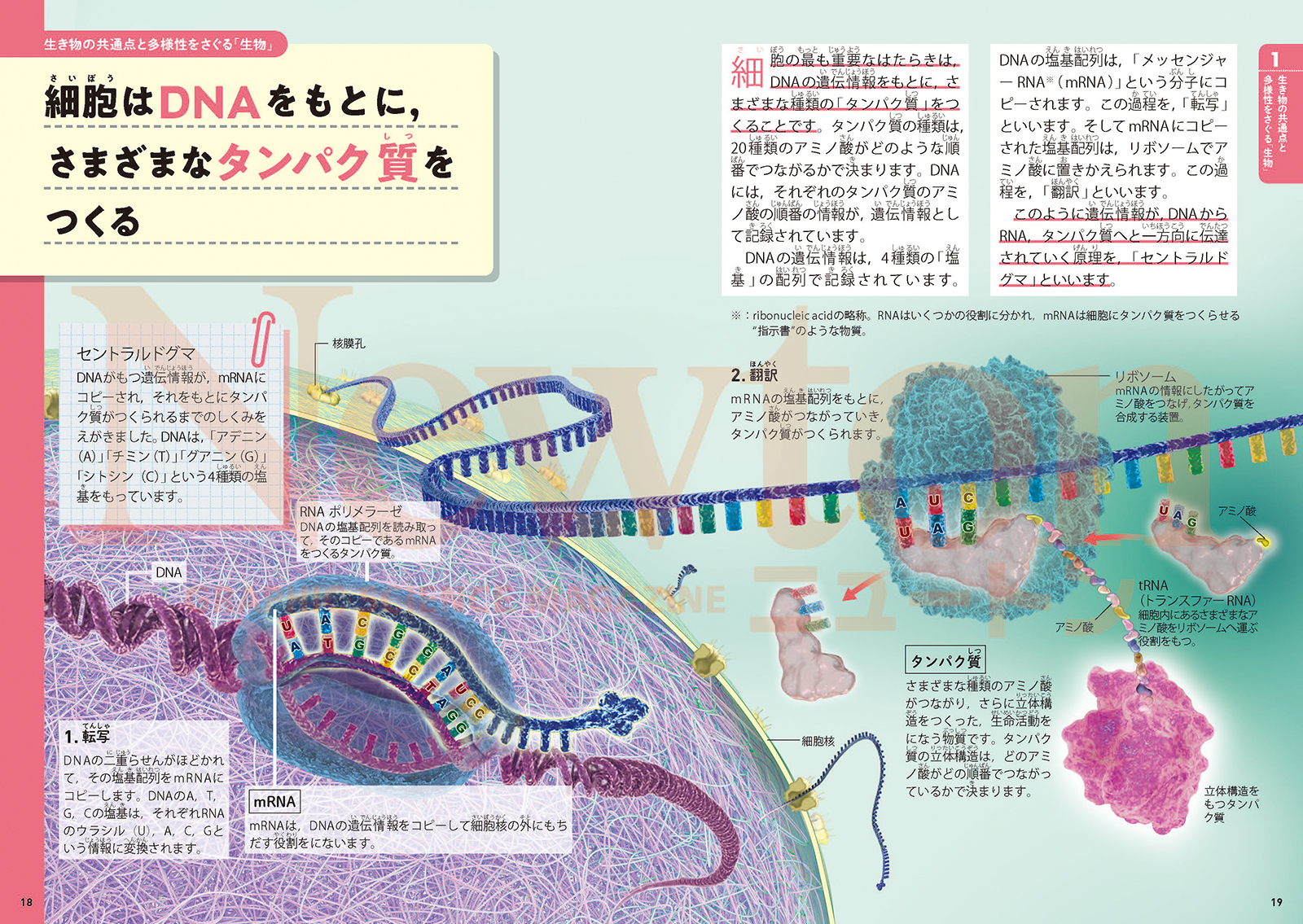 サムネイル画像1