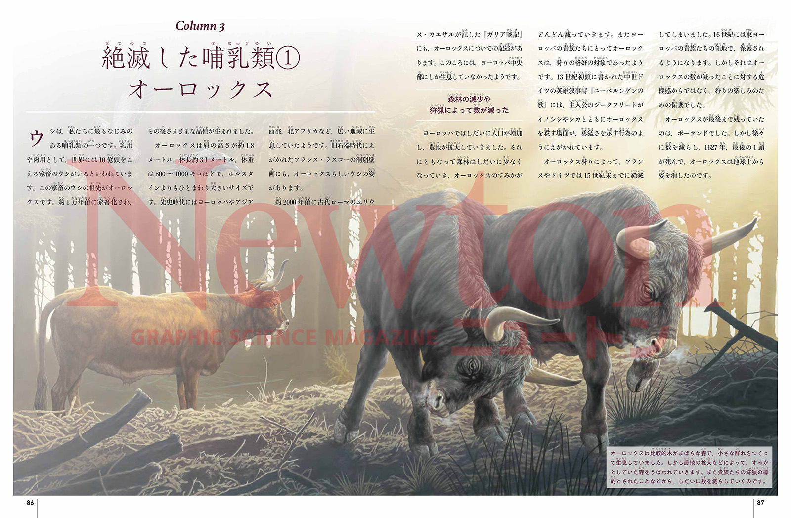サムネイル画像2