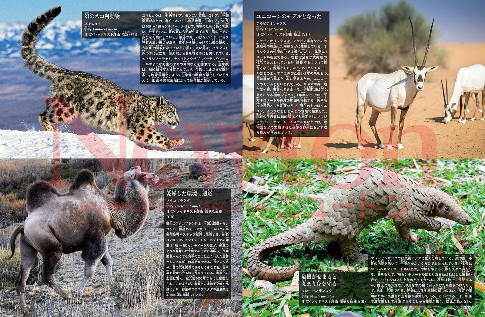 サムネイル画像3
