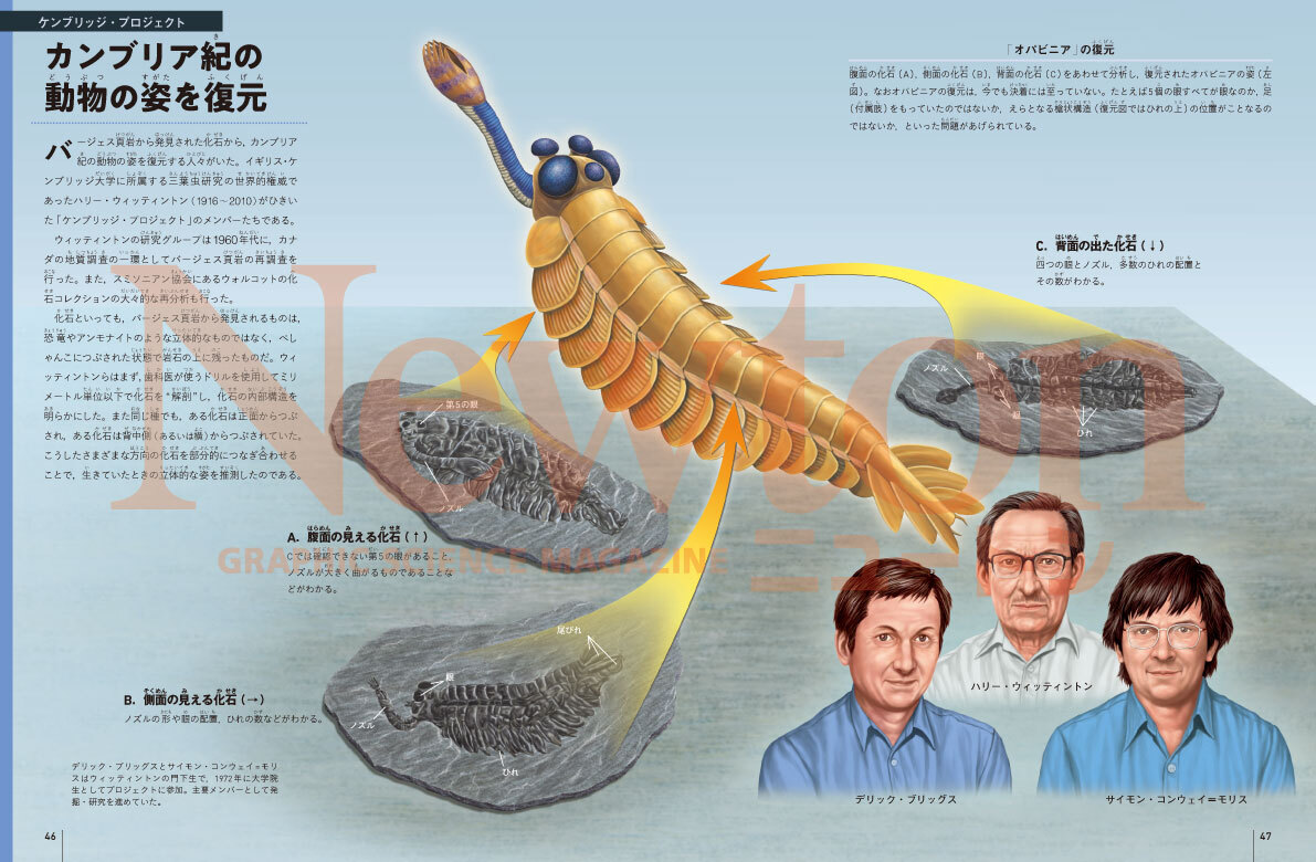 サムネイル画像3
