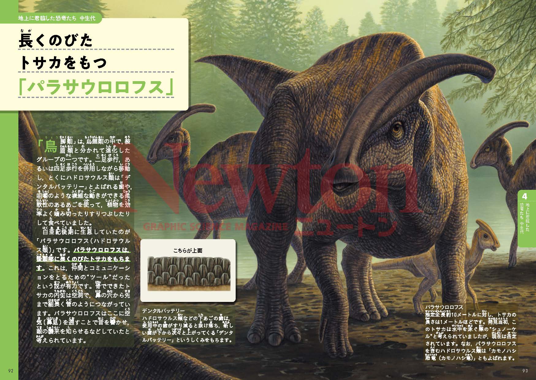サムネイル画像2