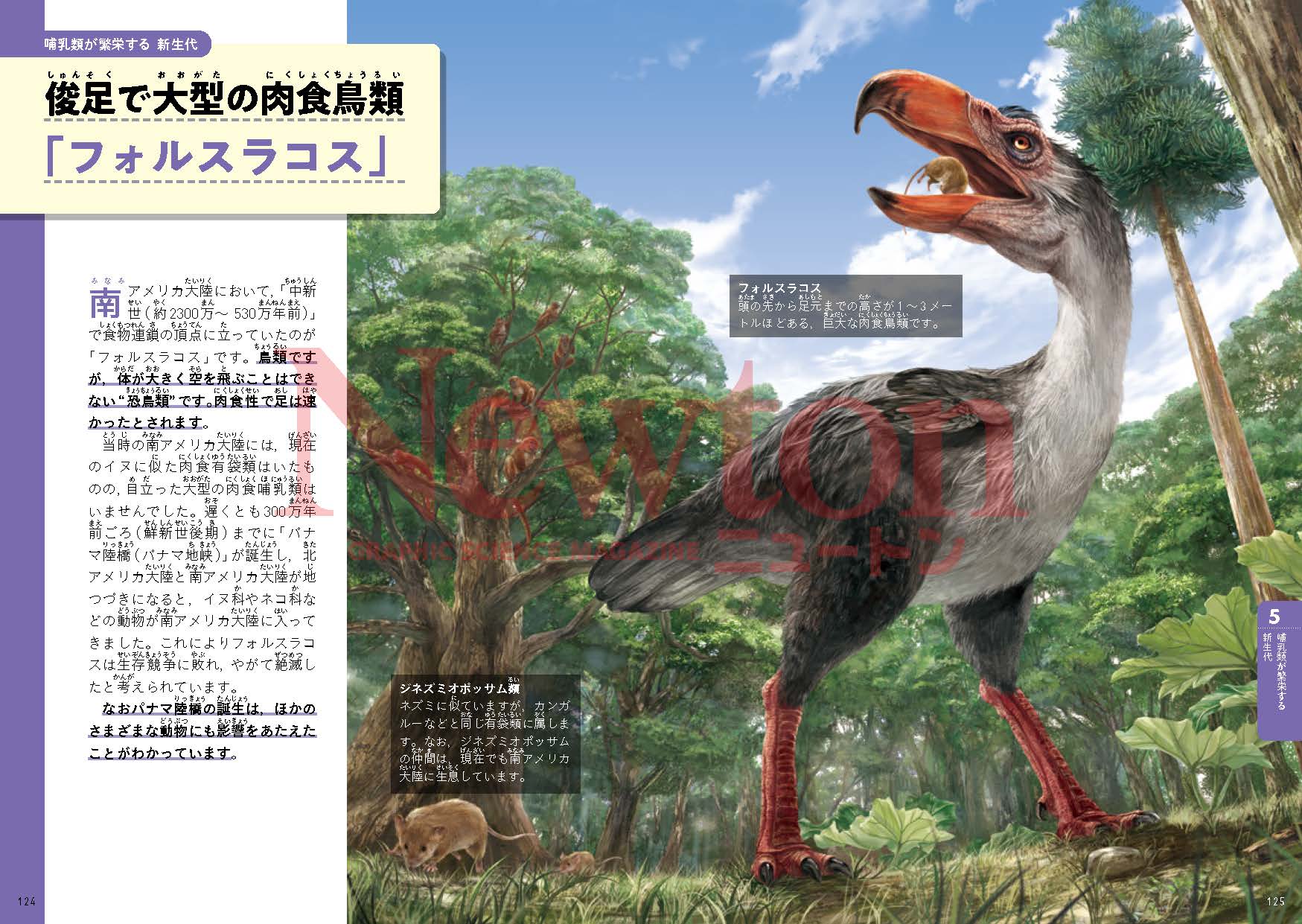 サムネイル画像3