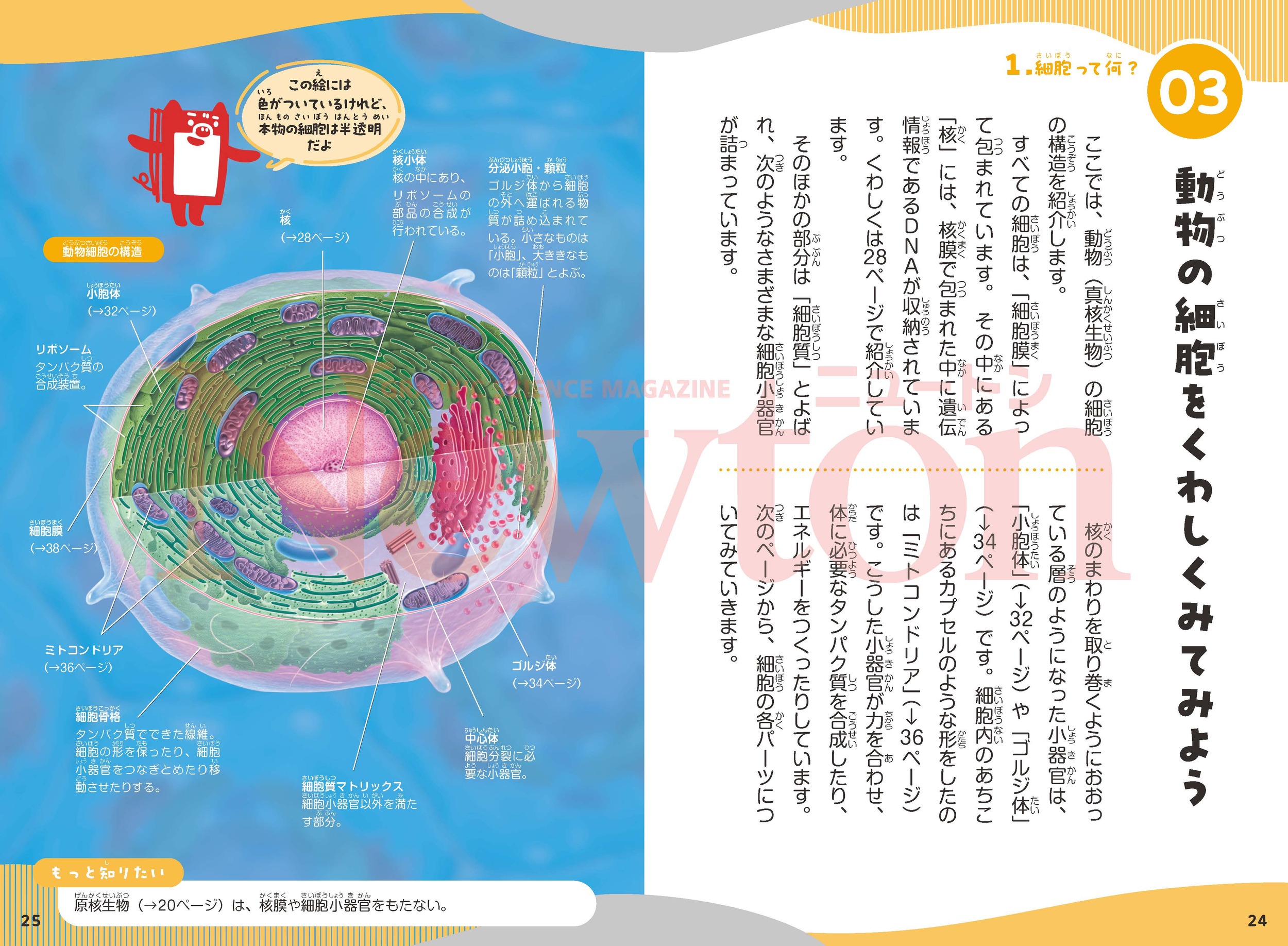 サムネイル画像1