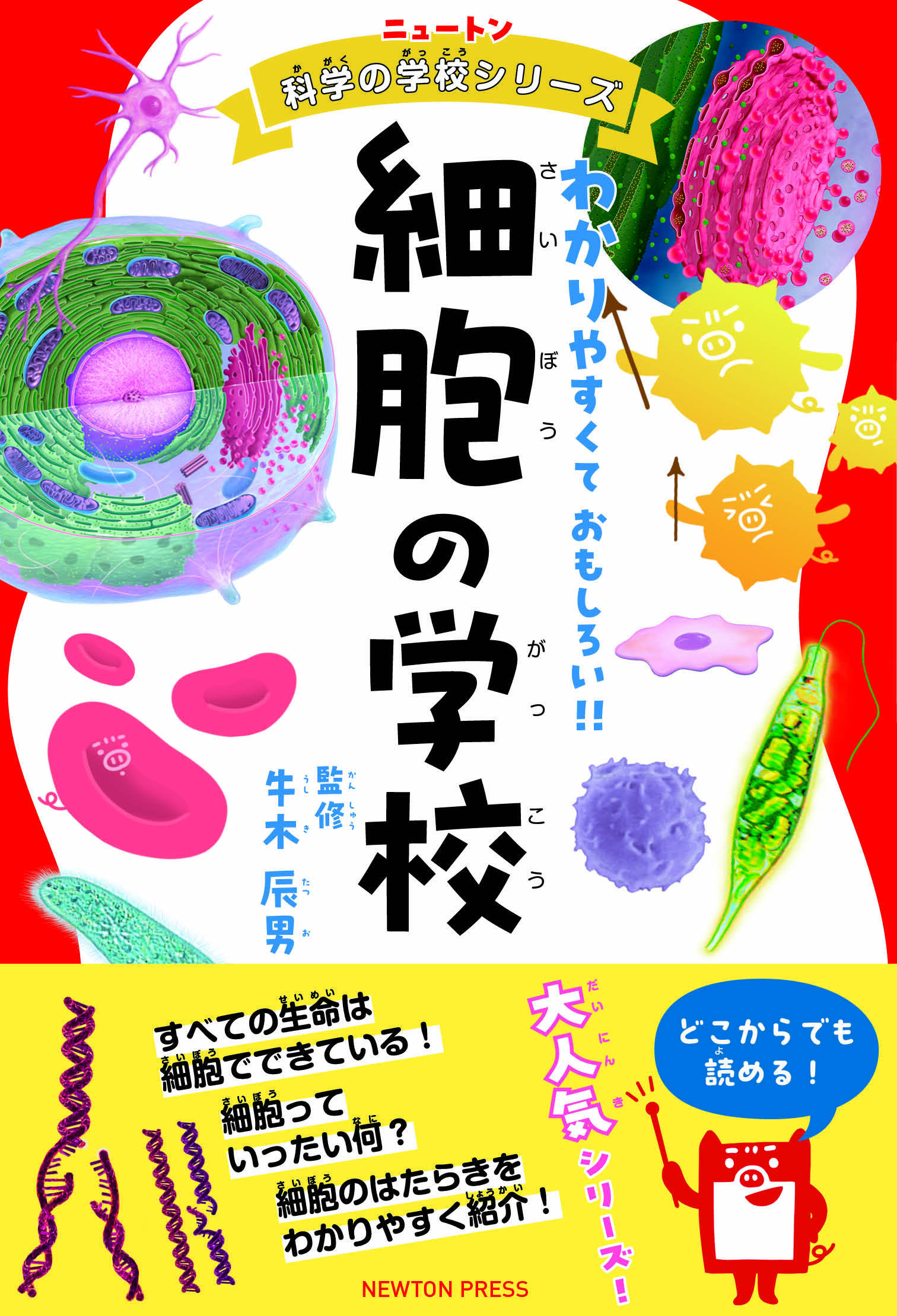 メイン画像