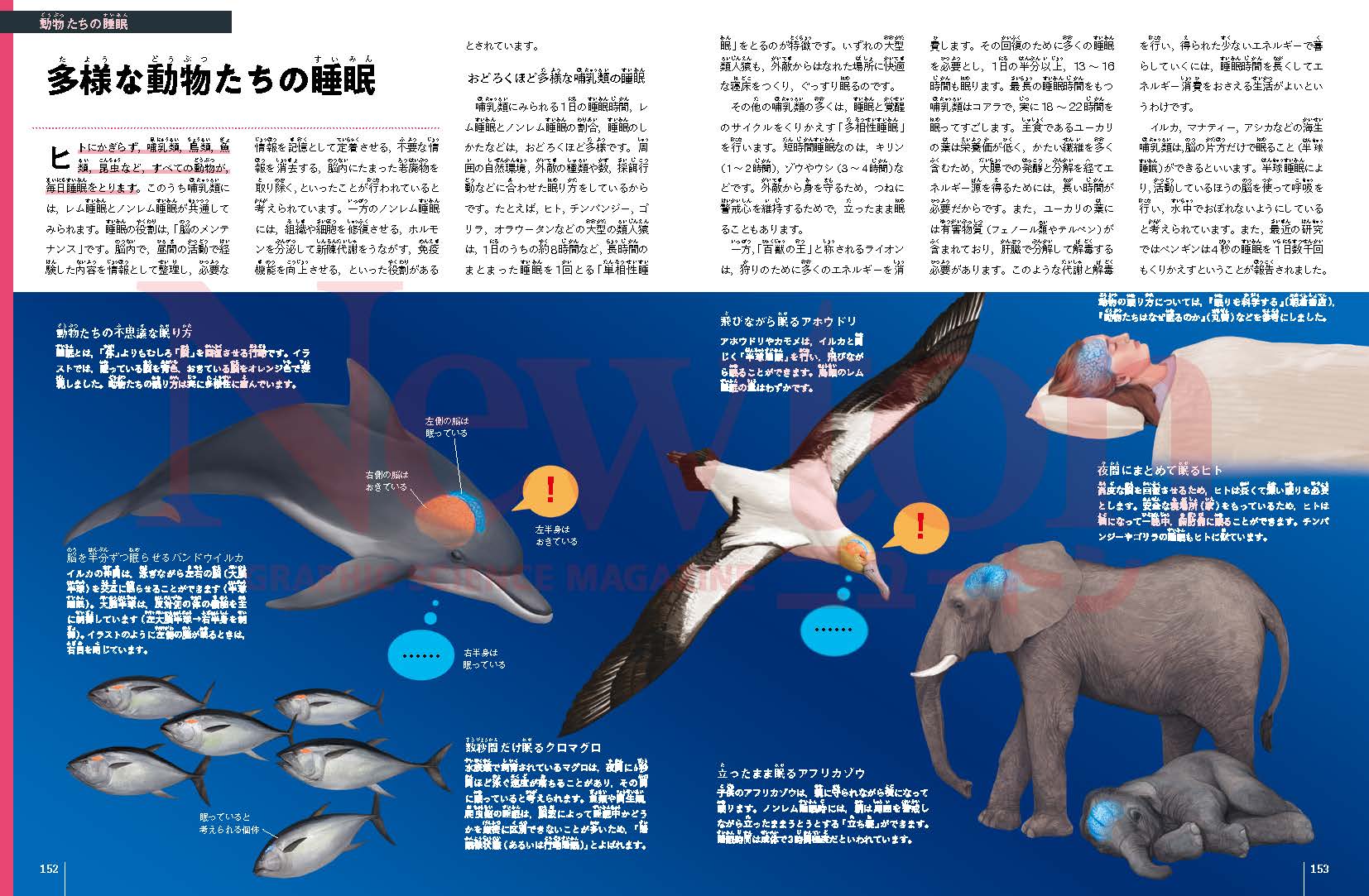 サムネイル画像3