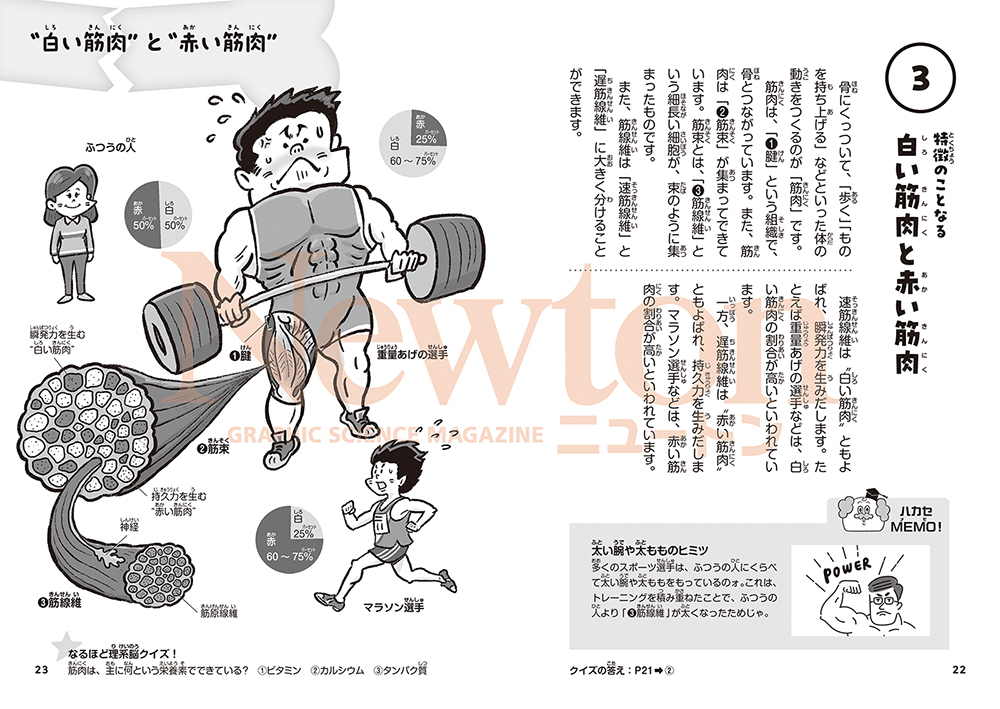 サムネイル画像2