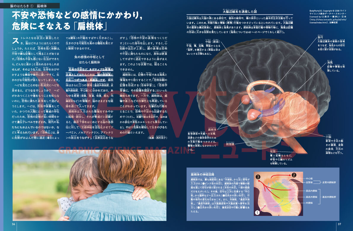 サムネイル画像2