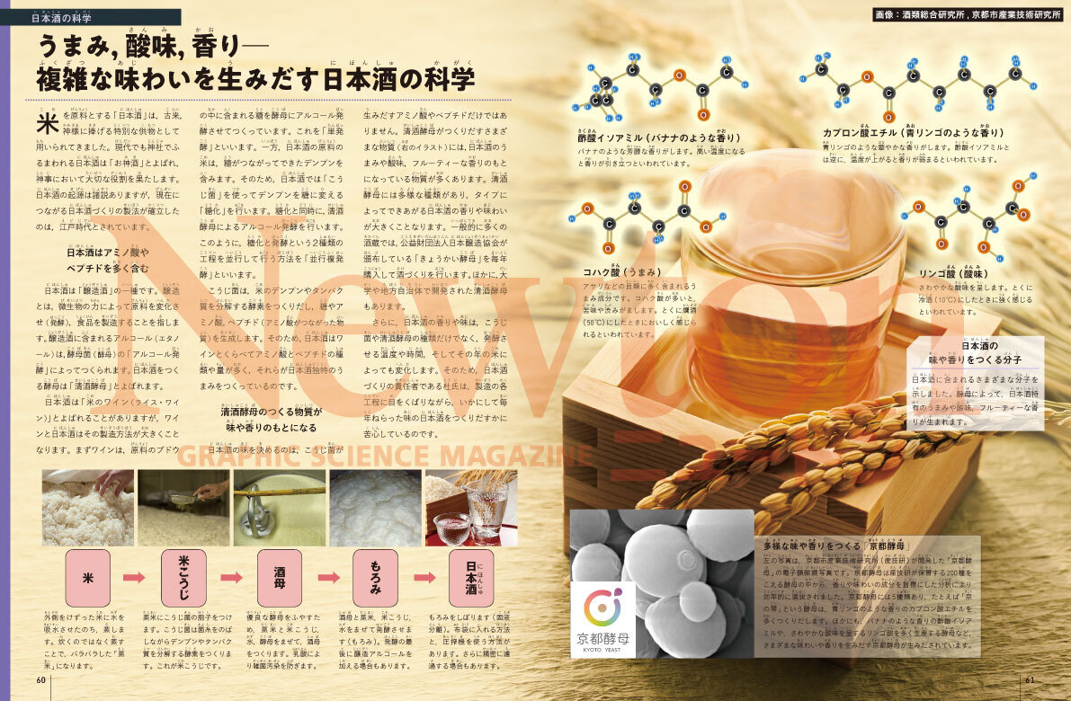 サムネイル画像5
