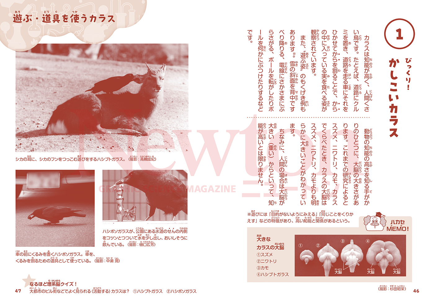 サムネイル画像4