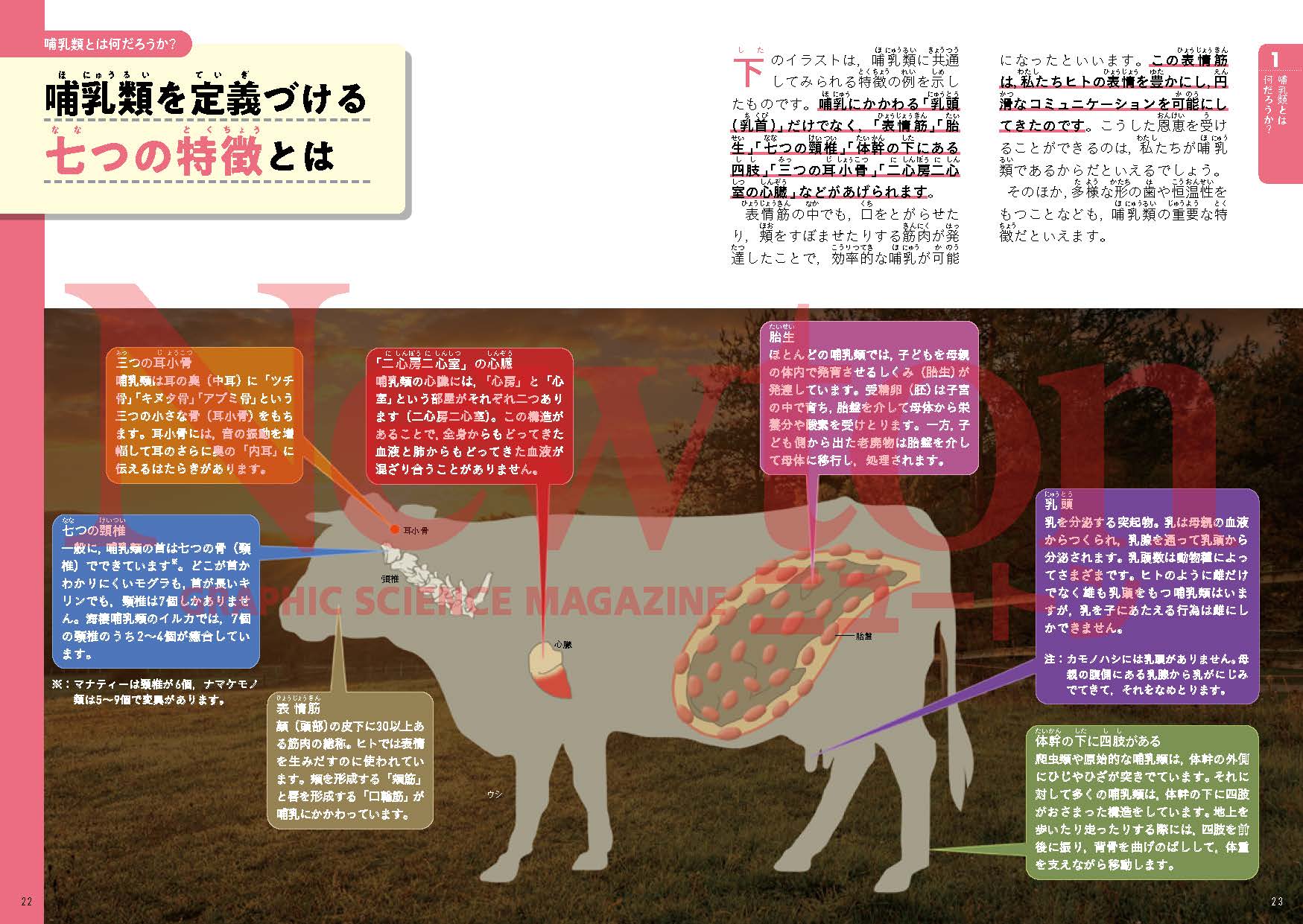 サムネイル画像3