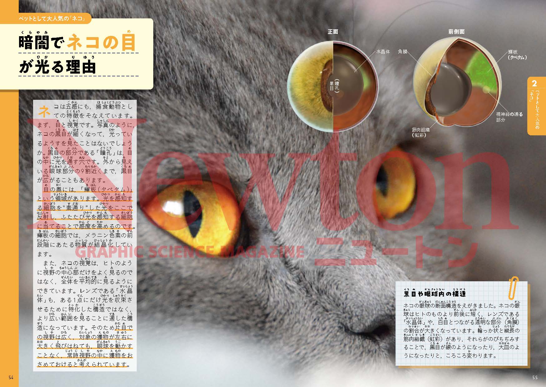 サムネイル画像4