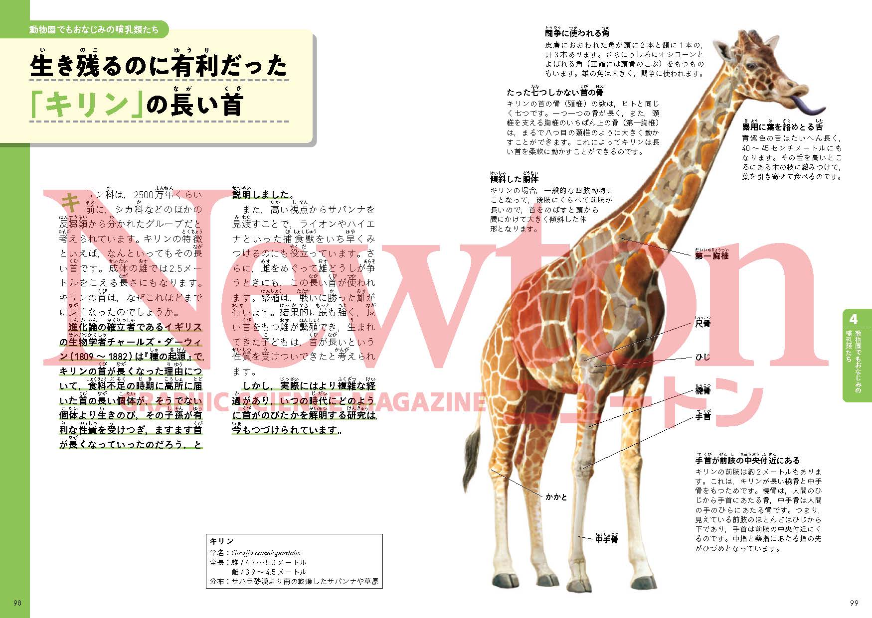 サムネイル画像5