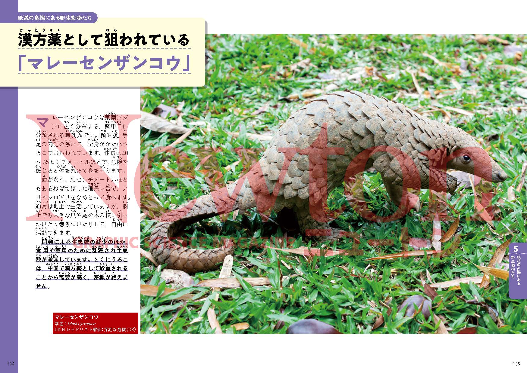 サムネイル画像6