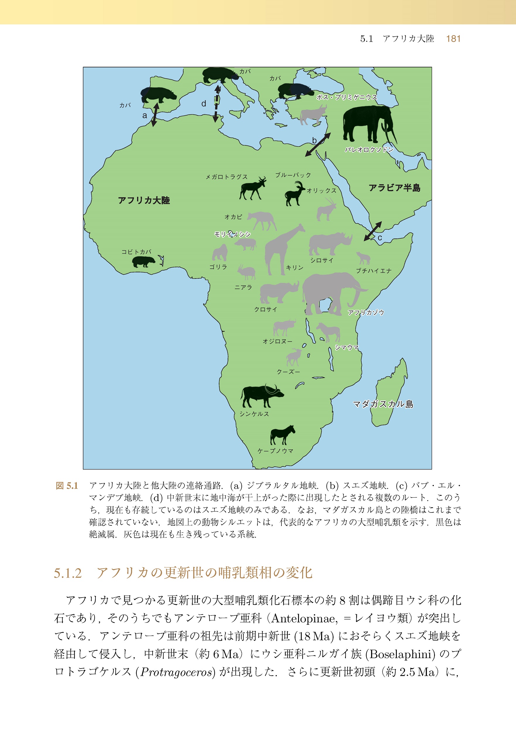 サムネイル画像5