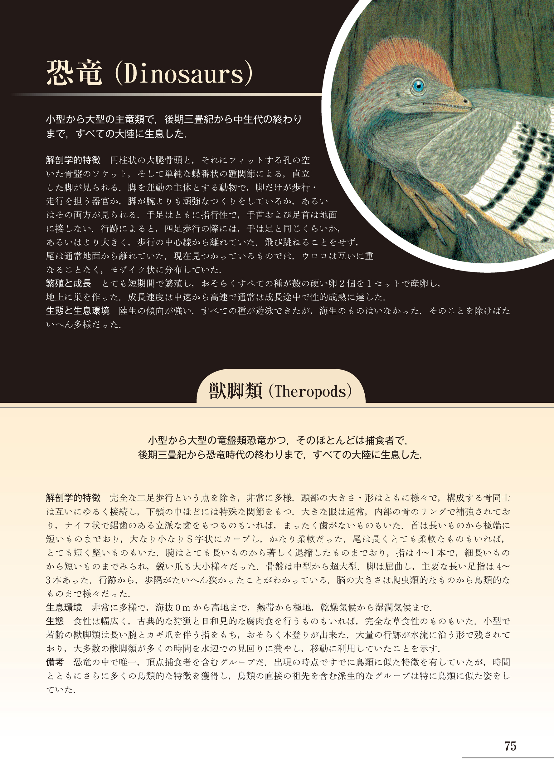 サムネイル画像3