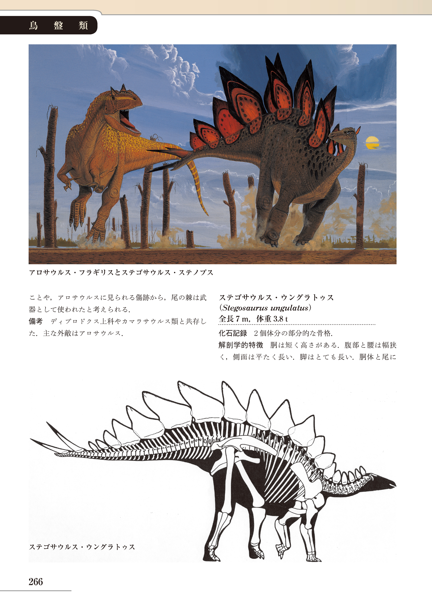 サムネイル画像5