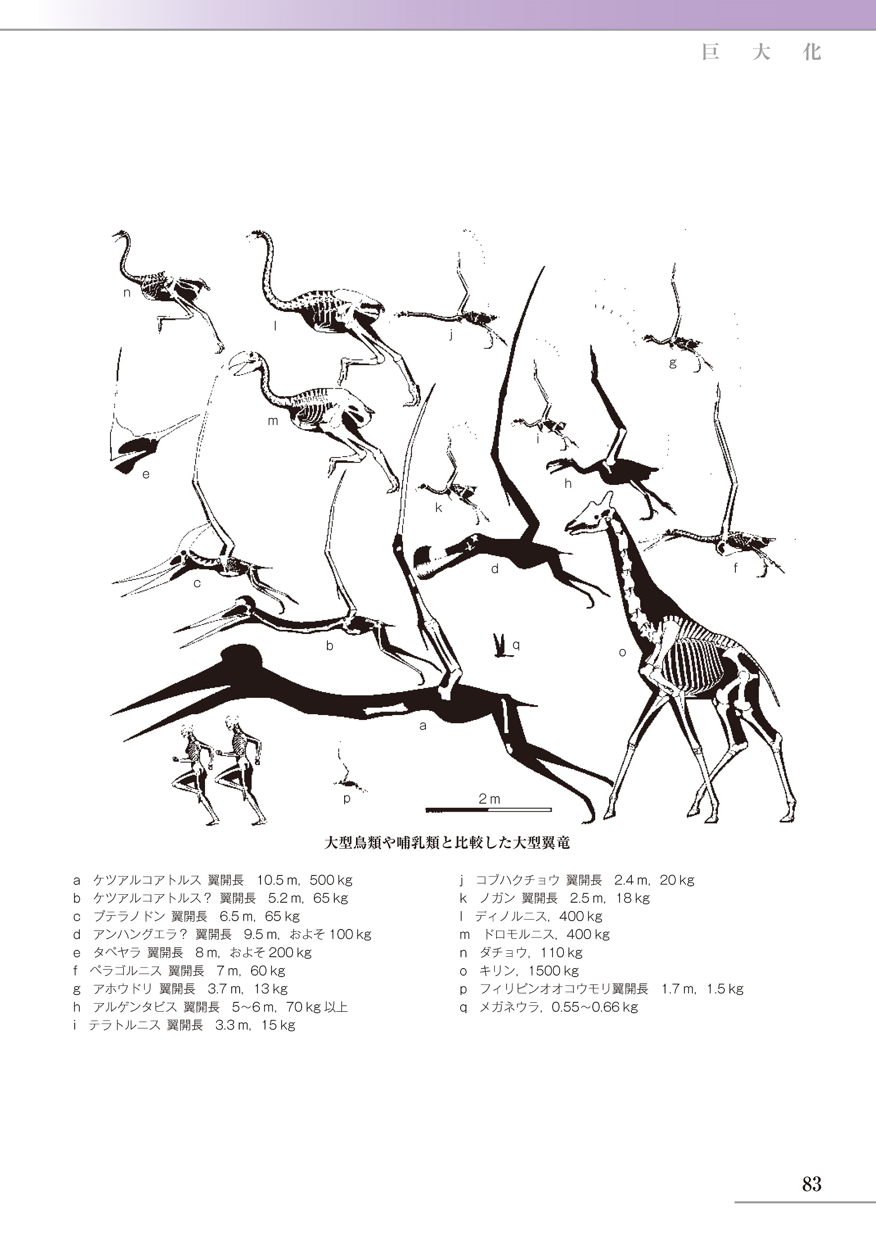 サムネイル画像3
