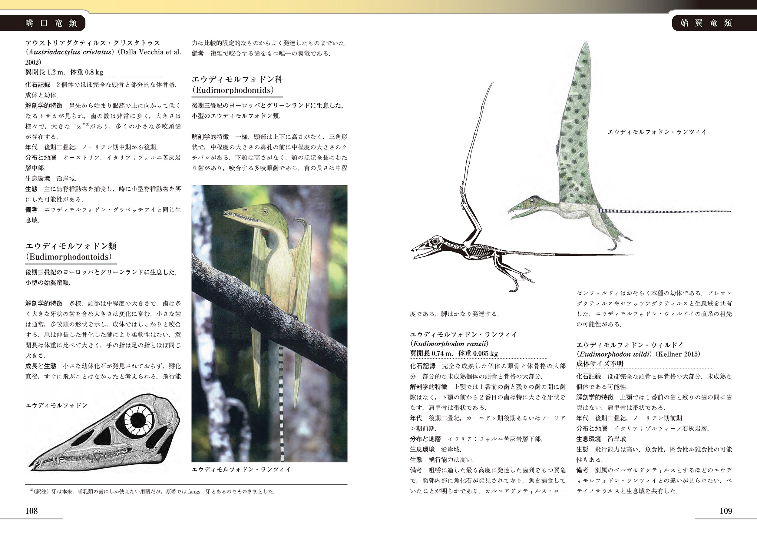 サムネイル画像4