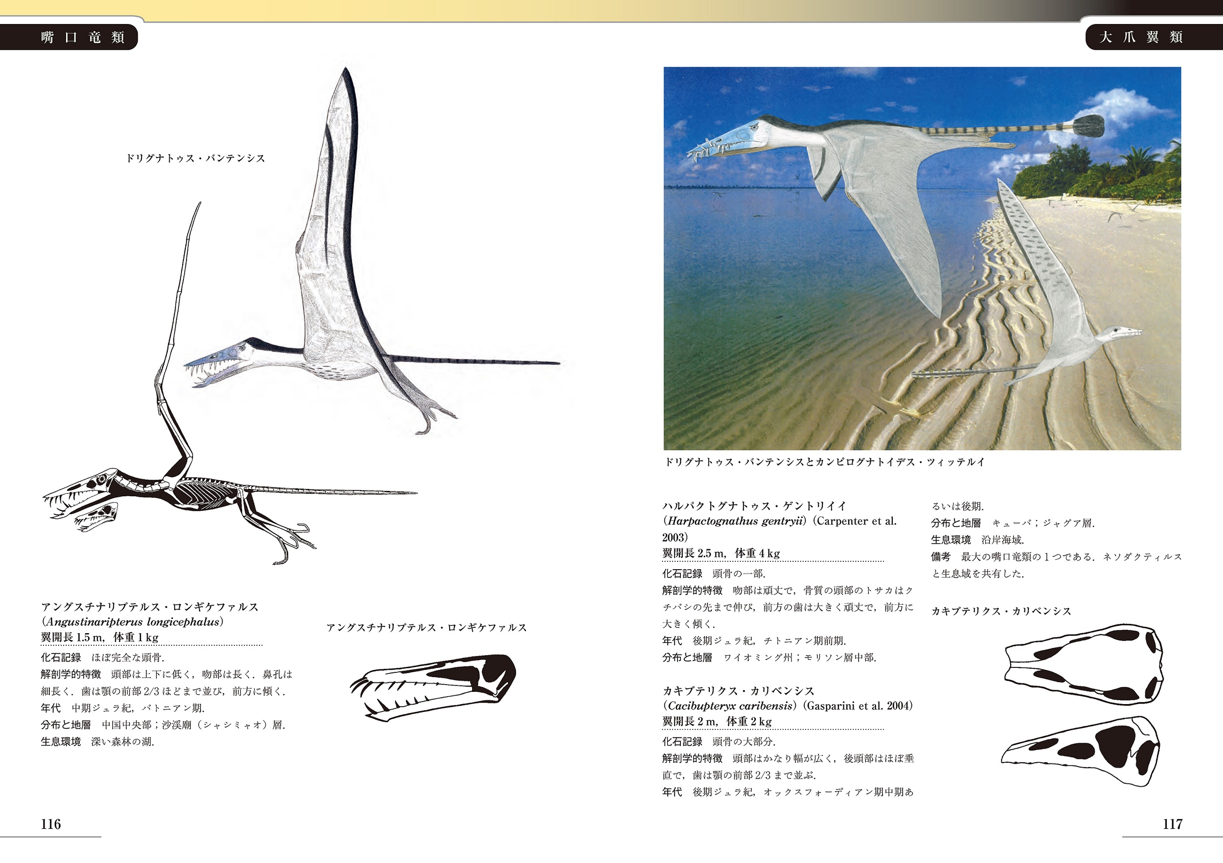 サムネイル画像5