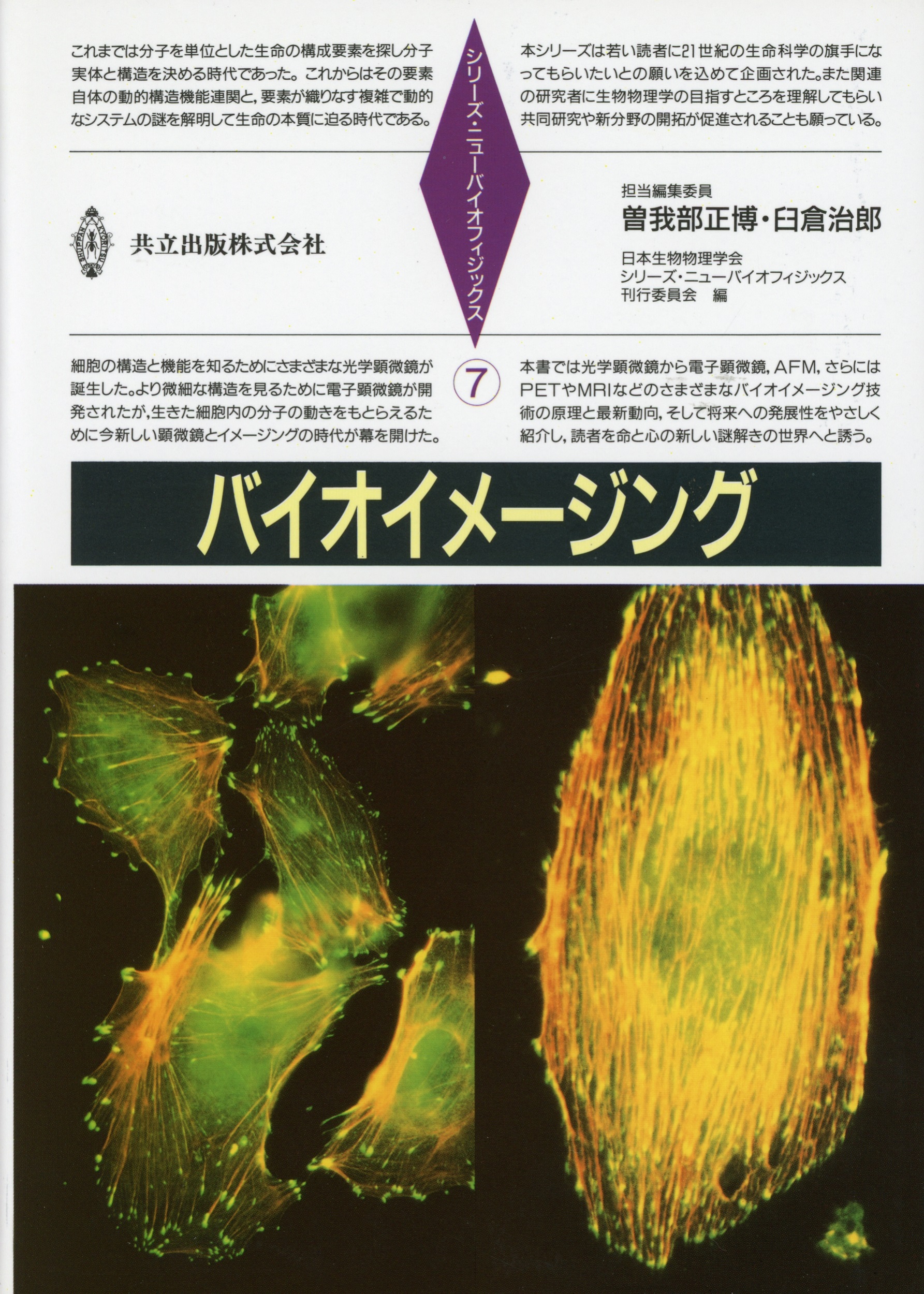 メイン画像