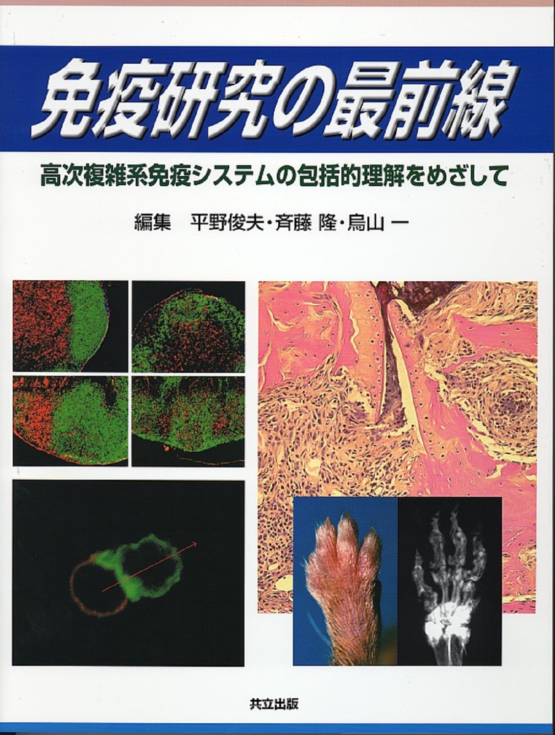 メイン画像