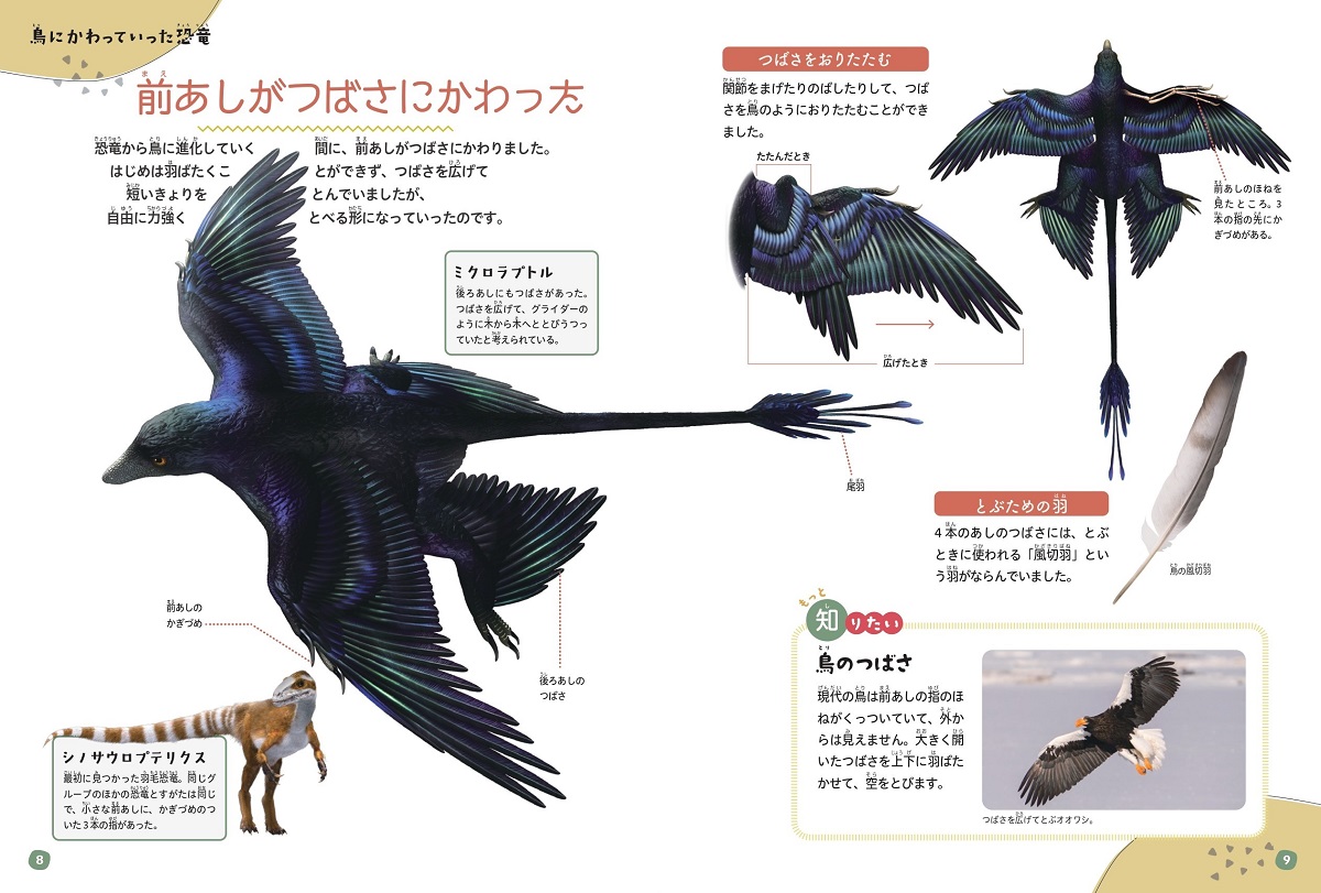 サムネイル画像3