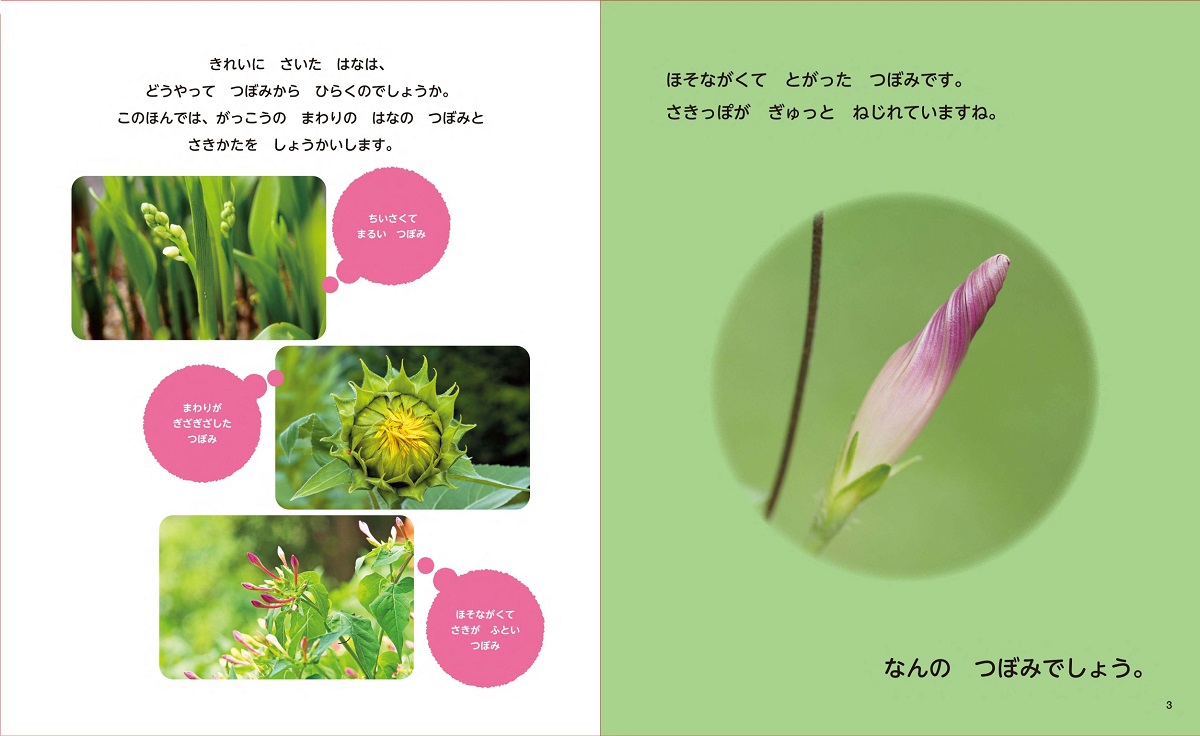 サムネイル画像1