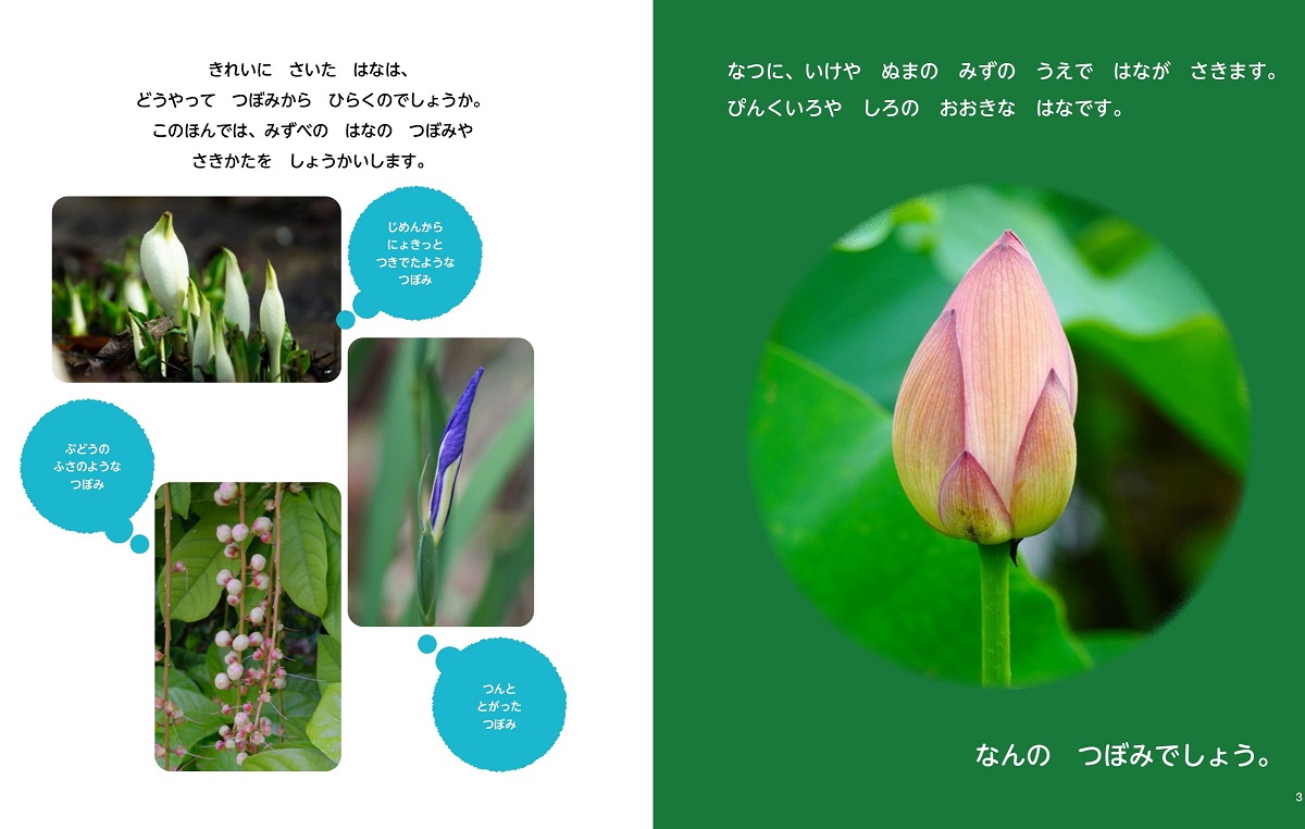 サムネイル画像1