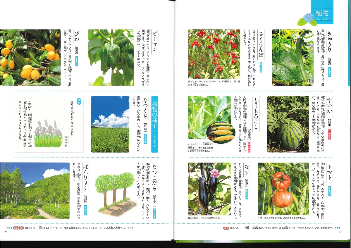 サムネイル画像3