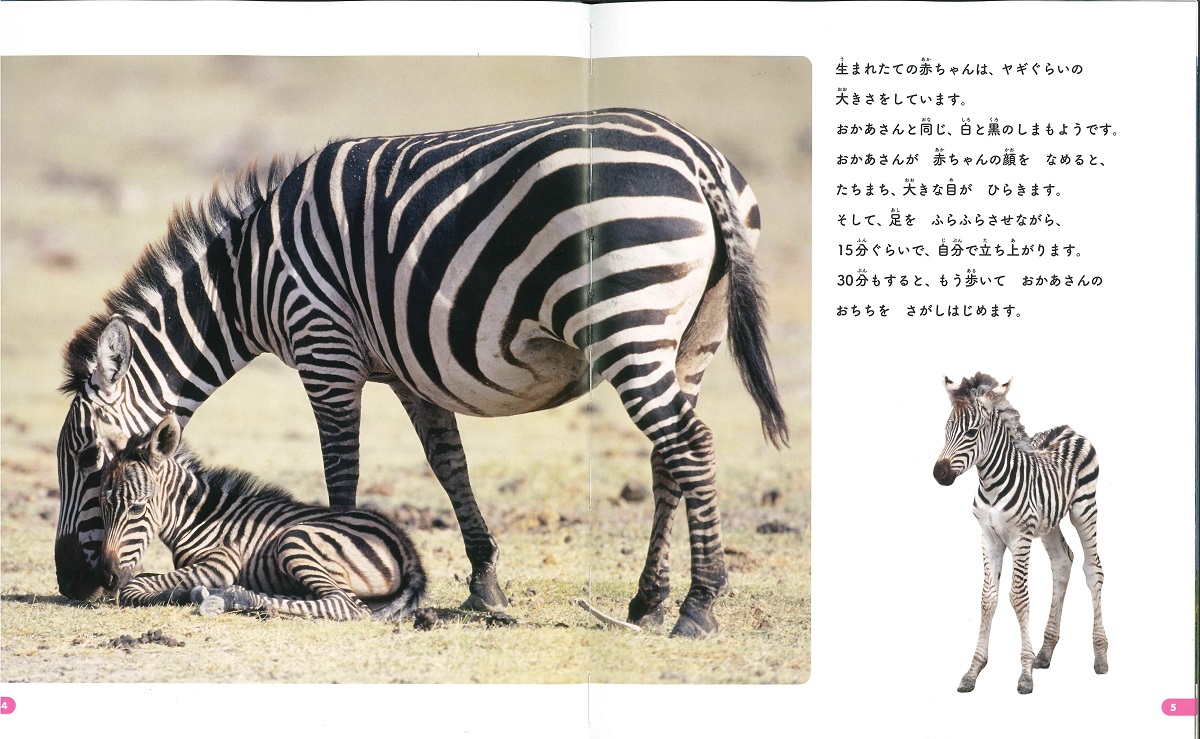 サムネイル画像2
