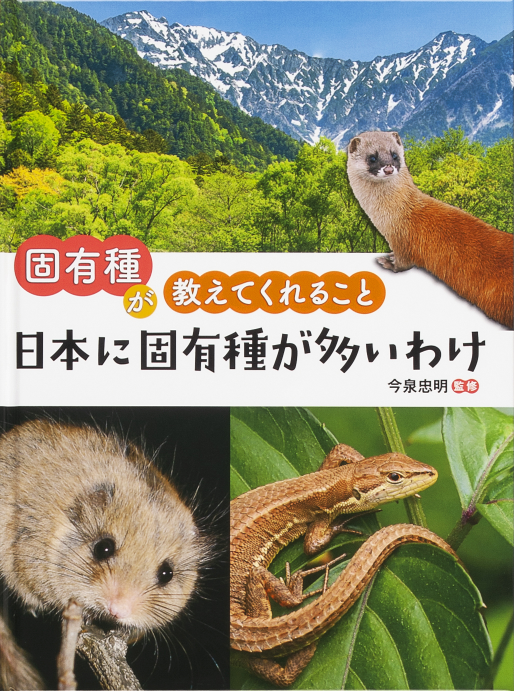 メイン画像