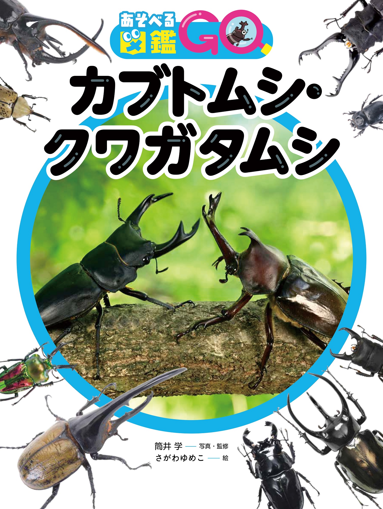 メイン画像