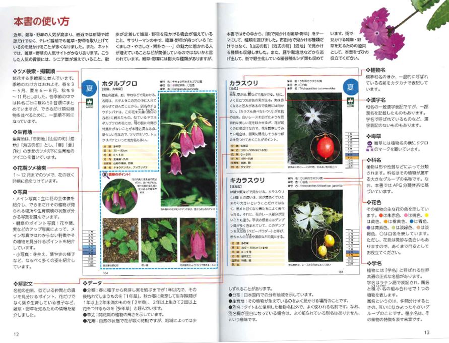 サムネイル画像1