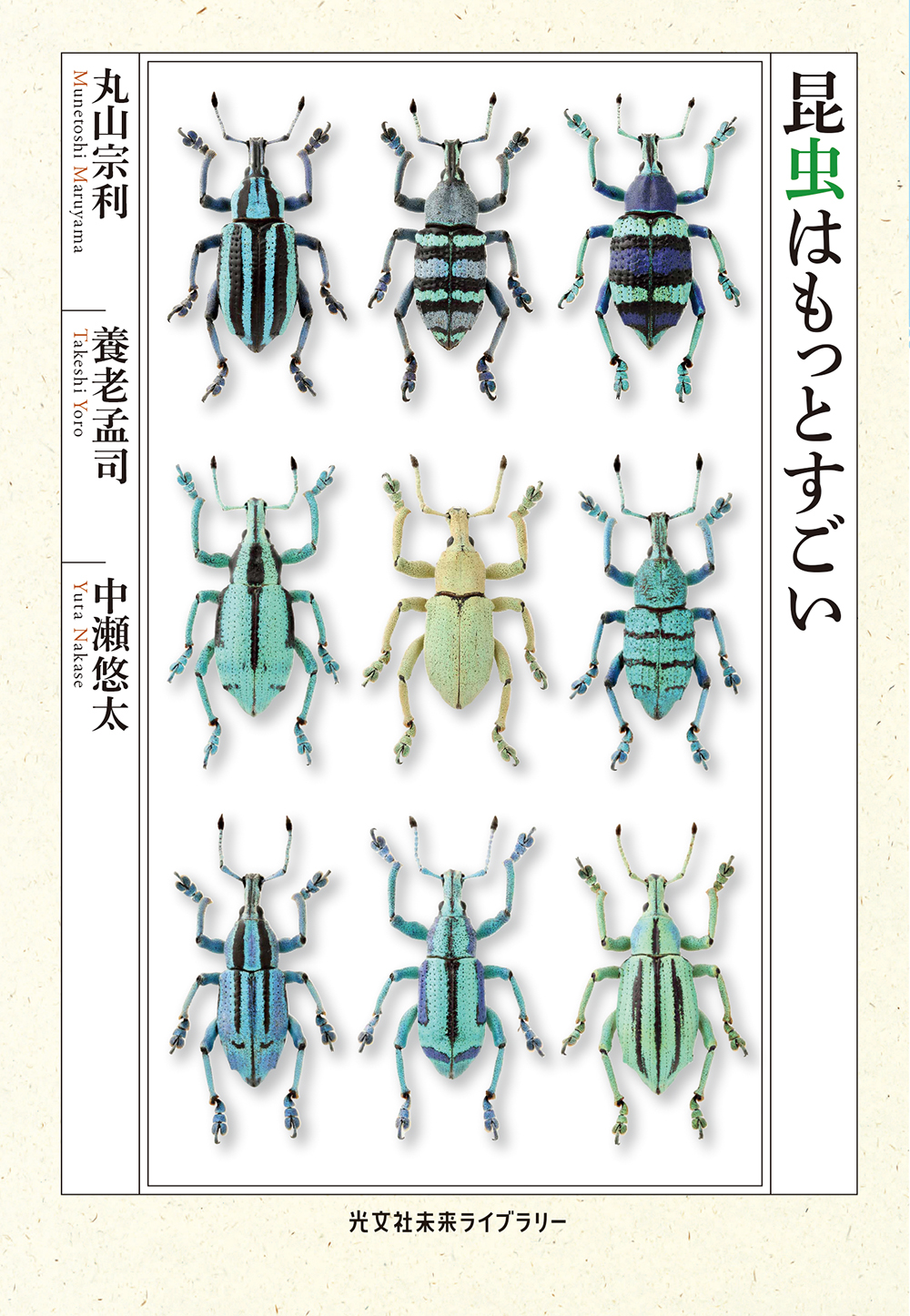 メイン画像