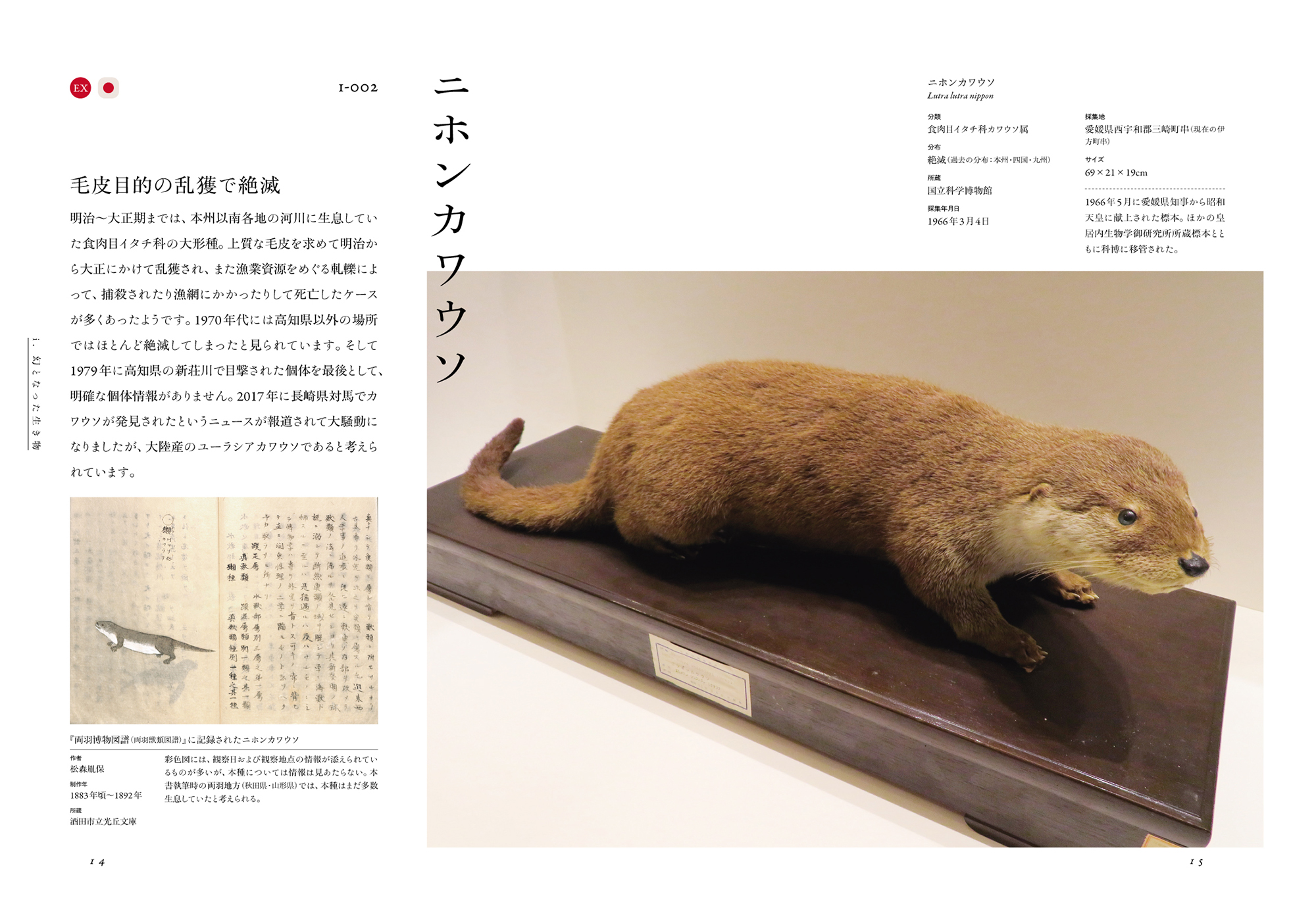 サムネイル画像3