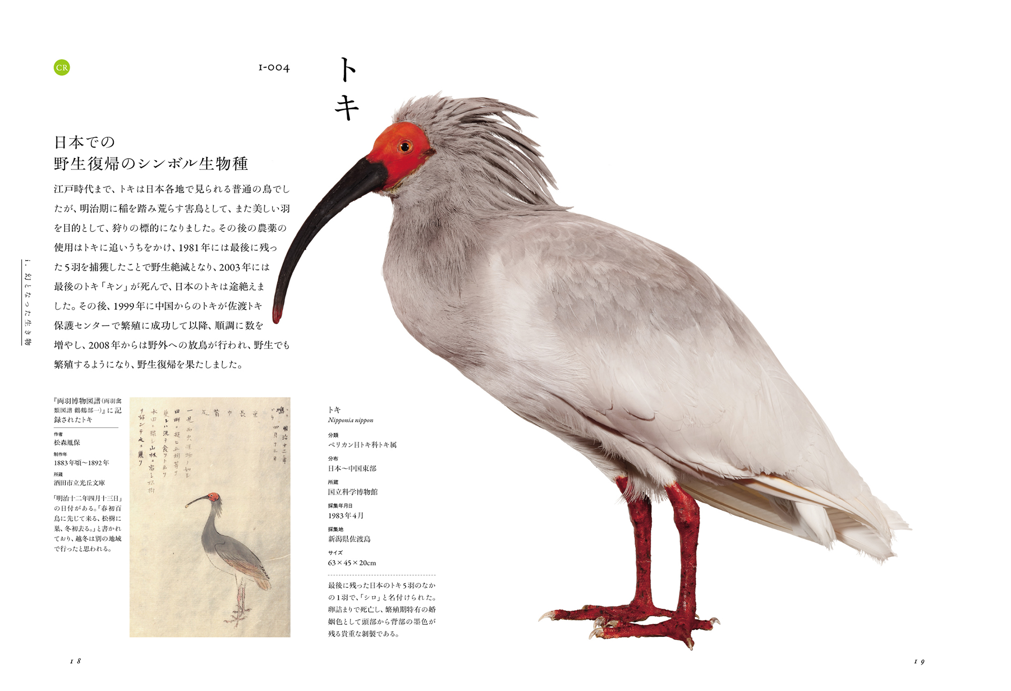 サムネイル画像4