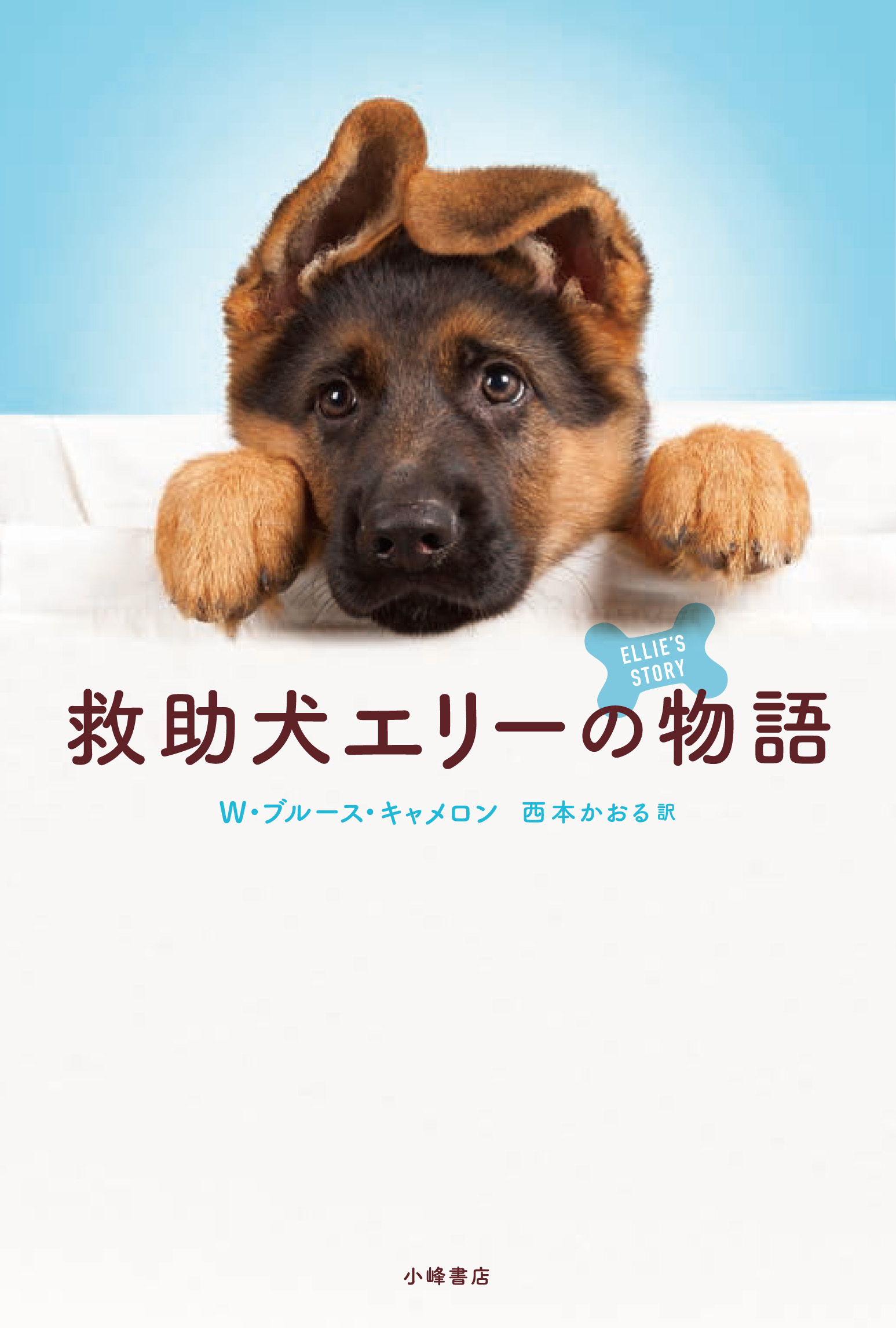 メイン画像