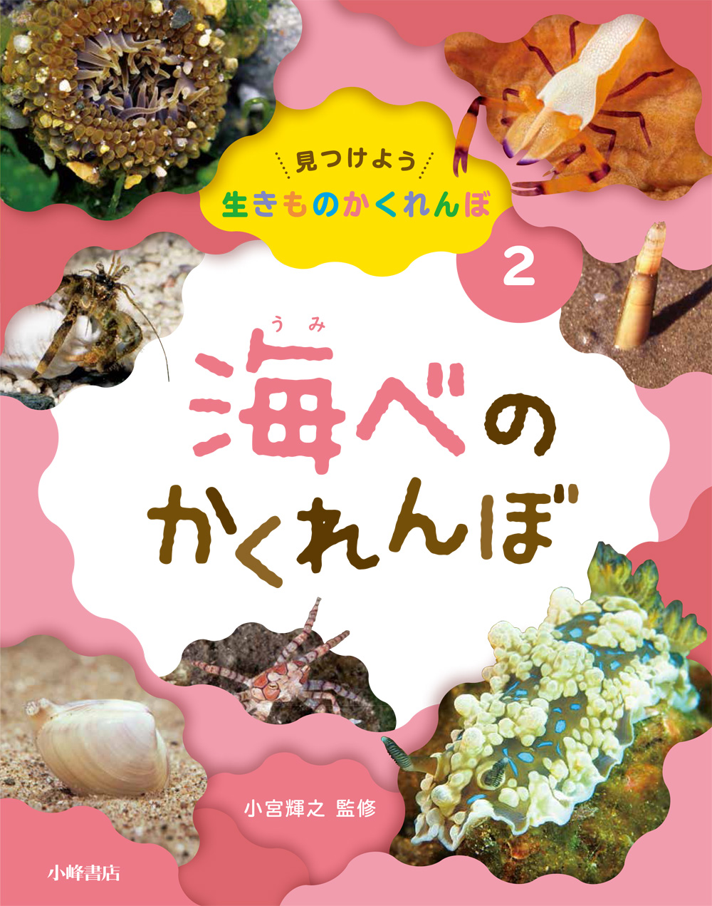 メイン画像