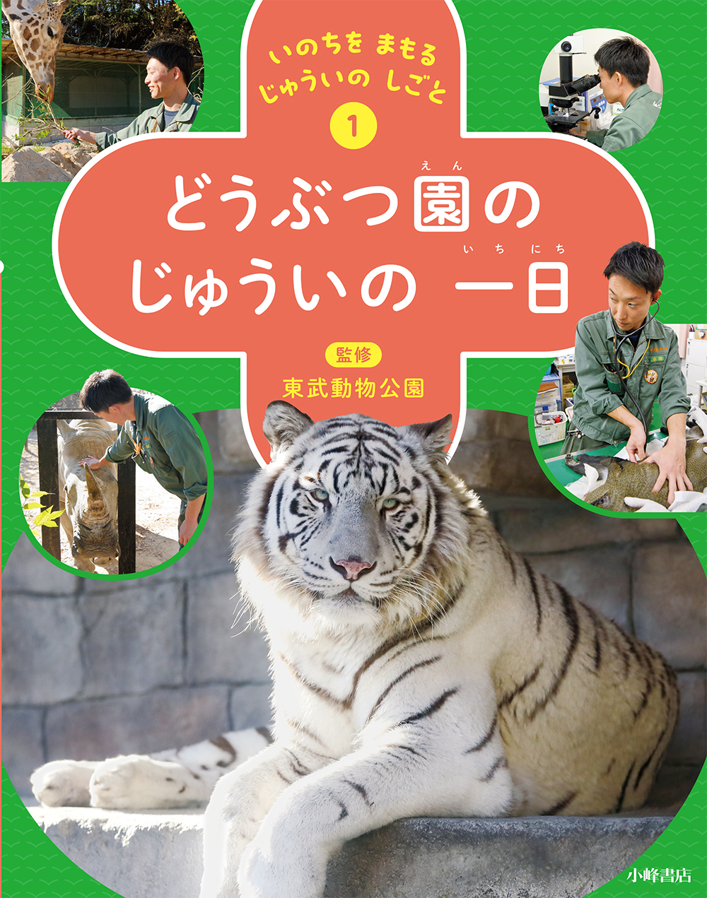 メイン画像