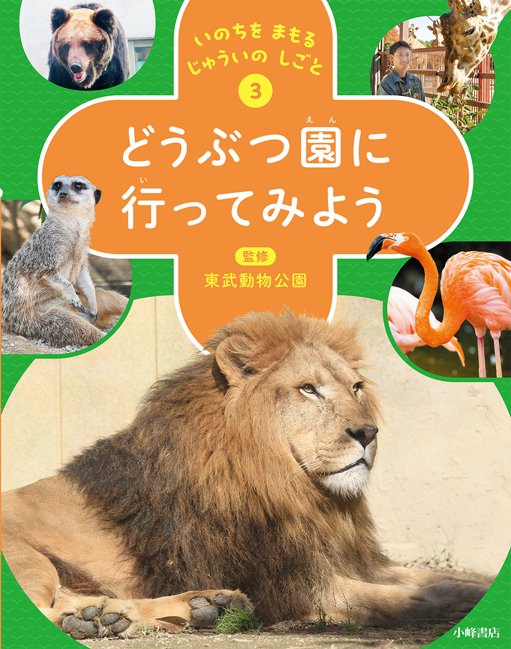 メイン画像