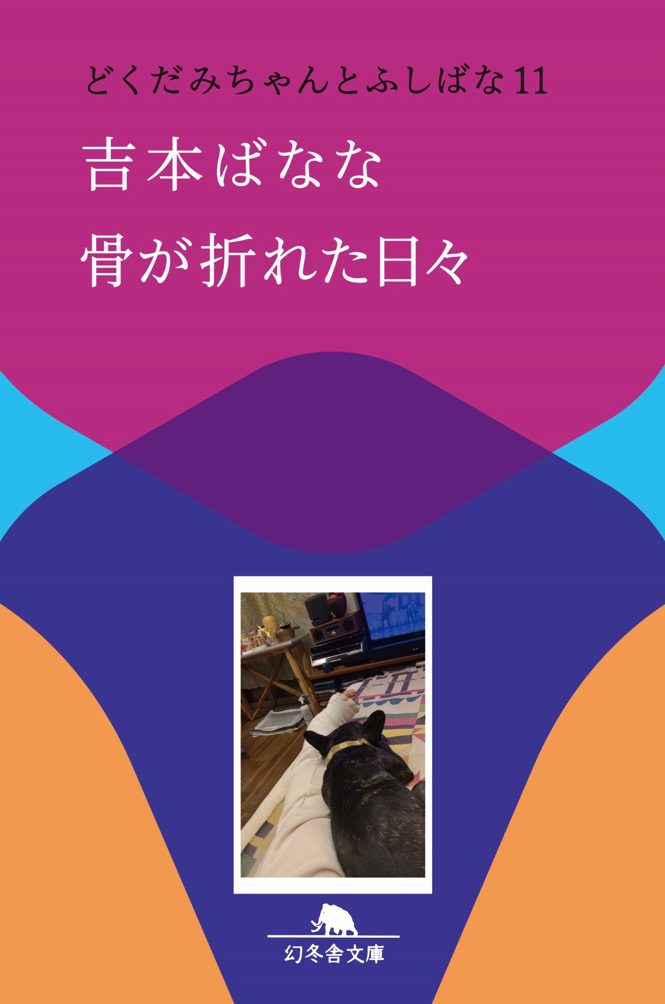 メイン画像