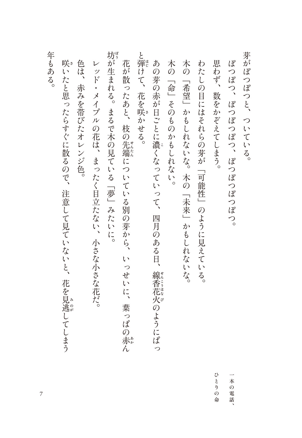 サムネイル画像6