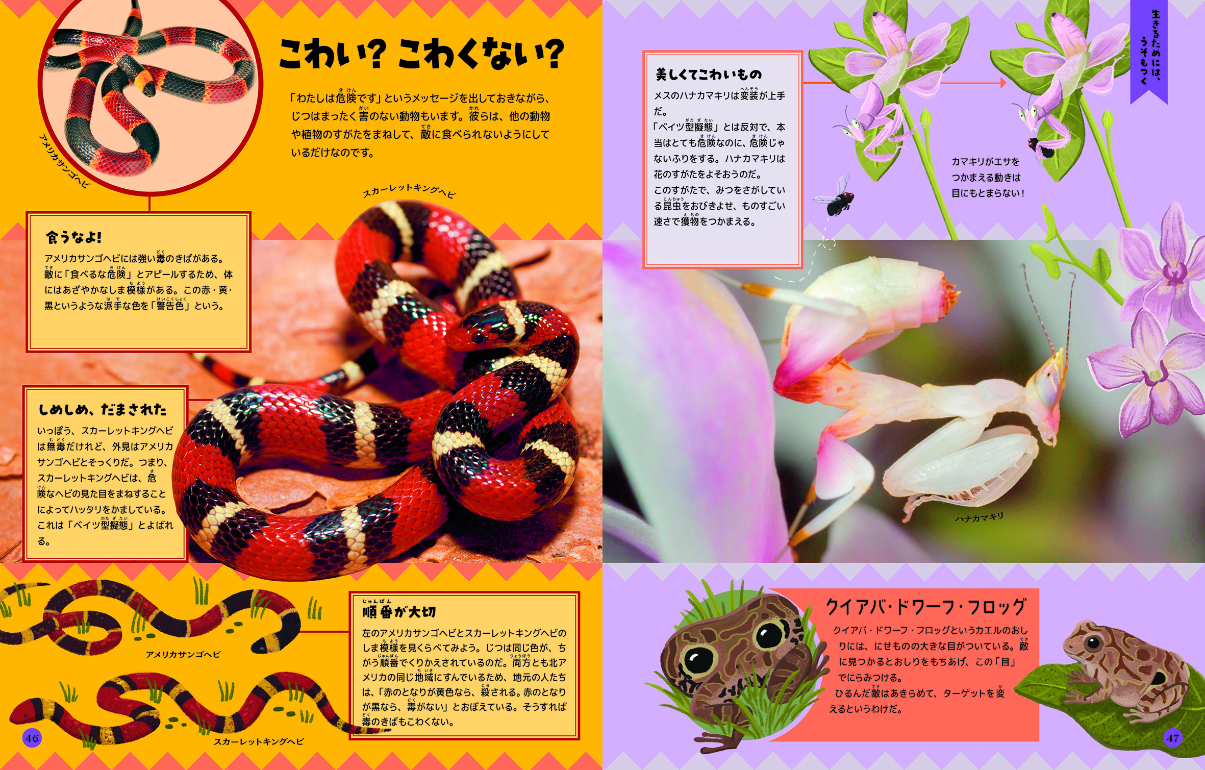 サムネイル画像2